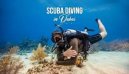 Scuba Diving